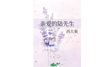 Dear Mr. Lu – Chinese Bl Novel (Danmei) Epub